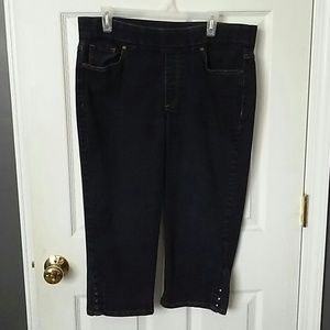 Gently loved Gloria Vanderbilt stretch capris